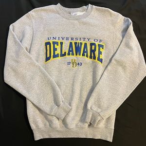 Champion University of Delaware sweatshirt